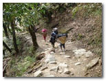 Nepal Trekking 04